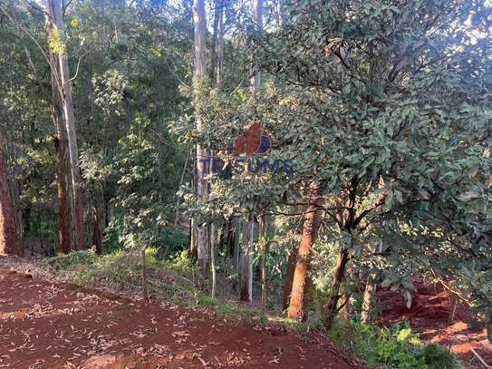 1.5 ac Land in Spring Valley image 1