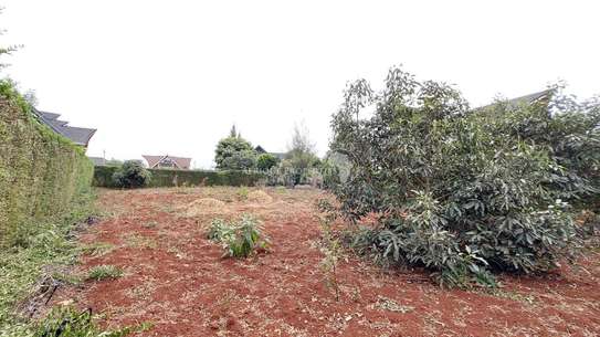 Prime 1/4 acre plot for sale in Daykio Bustani Ruiru image 8