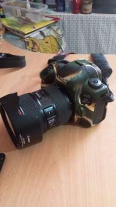 Canon 5D Mark IV 24-105mm image 2