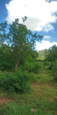 30 Acres of Virgin Land In Makindu Are For Sale image 4