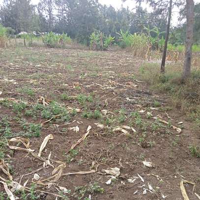 40*80ft plots for sale at Makuyu near Makuyu Teachers c image 5