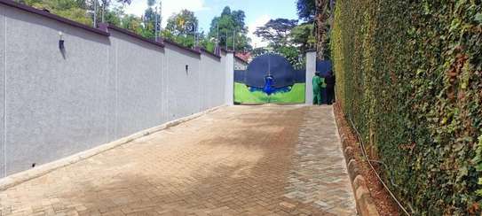 4 Bed Townhouse with En Suite in Spring Valley image 23