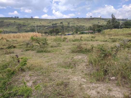 1/2 acre prime land with two access roads distress sale image 2