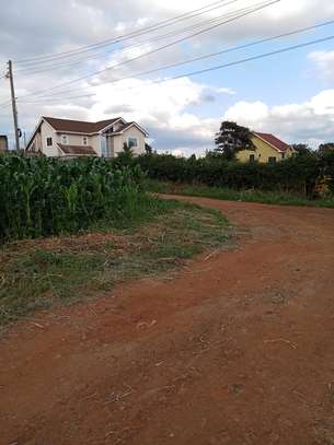 Plot at Ruiru mugutha image 3