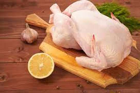 we supply broiler chickens image 3