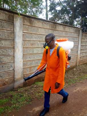 WE ERADICATED BEDBUGS,COCKROACHES, RATS.|FUMIGATION SERVICES IN NGONG image 2