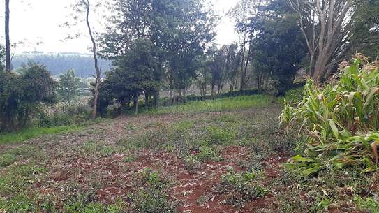 0.125 ac Land in Limuru image 2
