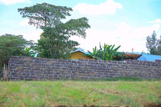 Nakuru plots for sale image 1