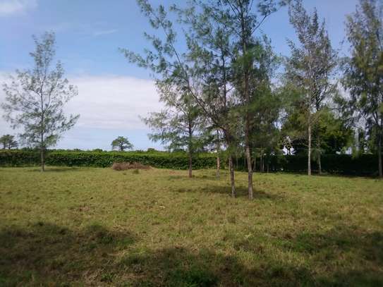 Prime Plots Diani Galu 1/4 Acre, 700m to Beach image 4