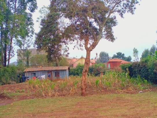 0.3 ac Land at Ngegu Kiambu image 28