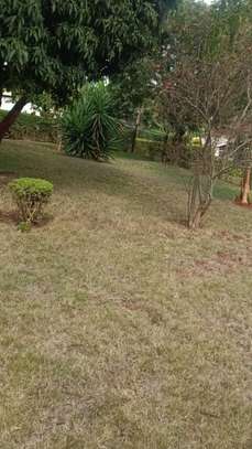 0.25 ac Land in Thika image 5
