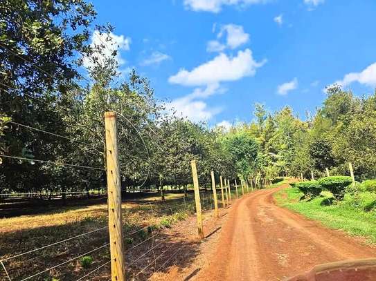 VANTAGE VIEW ESTATE - JUJA PRIME PLOTS FOR SALE image 4