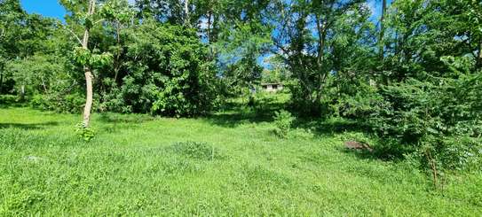 2.5 ac Land at Mtwapa Creekside image 29