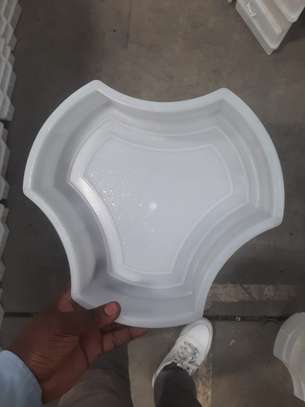 PLASTIC CABRO MOULDS FOR SALE image 3