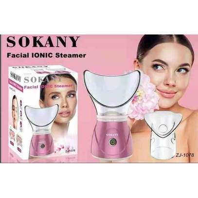 Sokany Facial Steamer Thermal Sprayer Facial Spa image 1