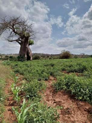 24 acres of land along Athi-River in Kibwezi Makueni County image 3