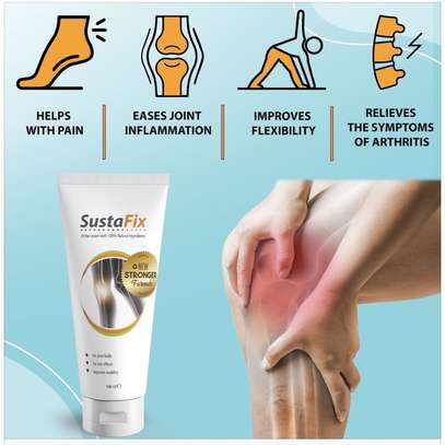 SUSTAFIX Active Gel for Arthritis, Gout, Joint Pain image 1