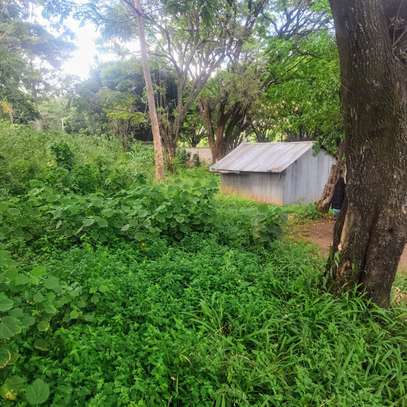 Prime land in Nairobi on Processional Way near Serena Hotel image 6