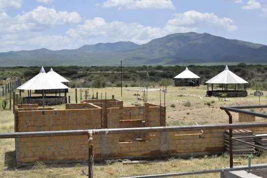 Plots for sale in Tinga town image 2