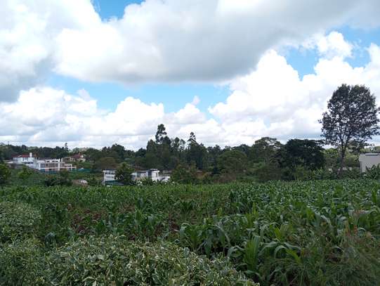 Residential Land at Tigoni image 5