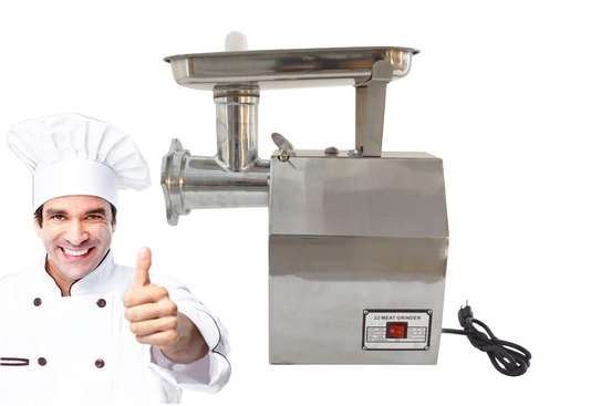 Electric Domestic Use 1.1KW Multifunction Meat Mincer Commercial image 1
