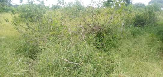 100 Acres Available for Sale in Mutomo Kitui County image 1