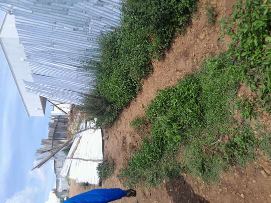 PRIME LAND AT The NEW GOVERNOR'S OFFICE HOMA BAY image 8