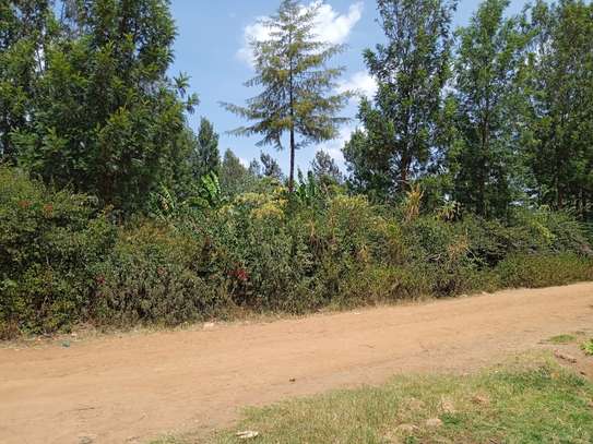 1/8 acre plots for sale - Ruiru, Kiambu image 2