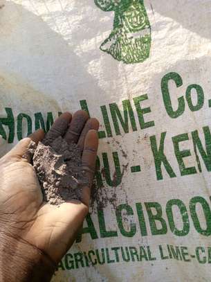 Homed Lime Co. Agricultural Lime Fine Powder Kenya image 5