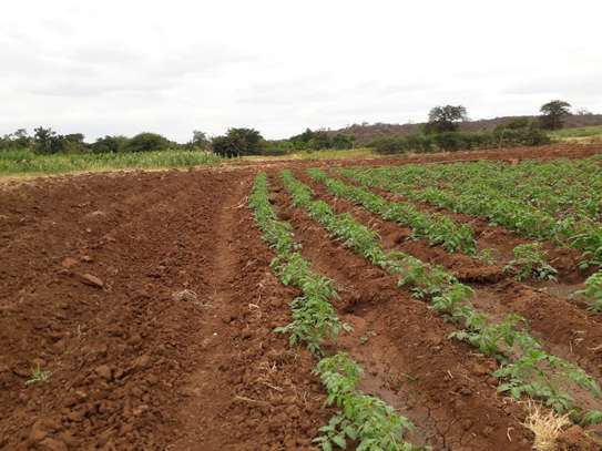 100 Acres For Lease in Mbeere South Kirinyaga image 1