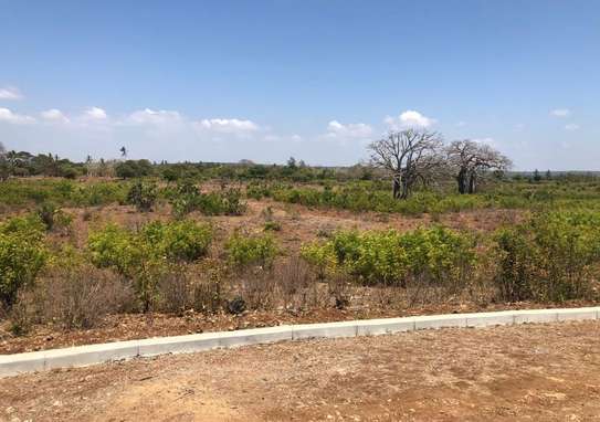 Land in Vipingo image 1