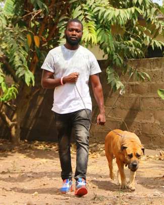 Best Dog Trainers in Kenya in 2022 image 8