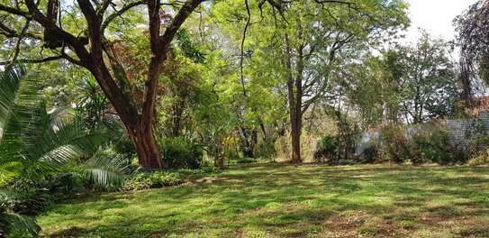 Residential Land at Kibagare Valley image 35