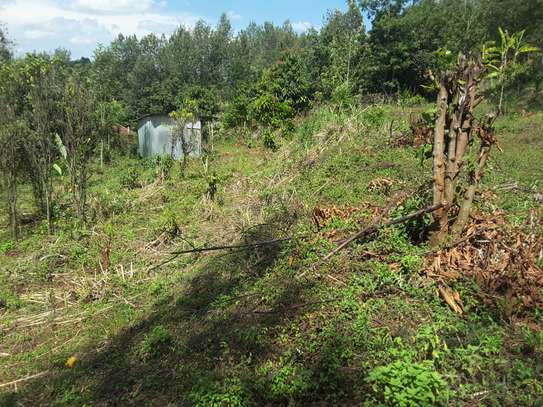 Lovely Quarter ( 1 / 4 ) Acre Land in Ngong image 4