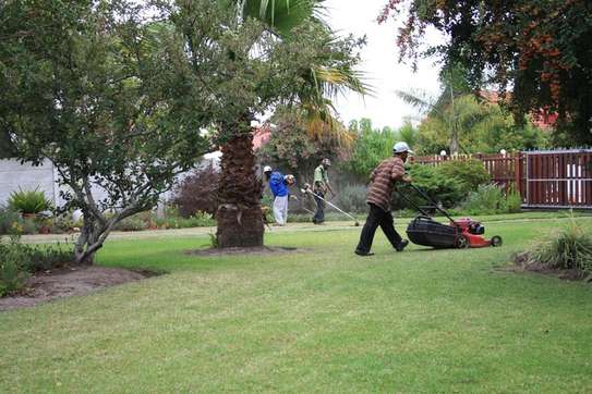 Tree cutting service Nairobi.Fast friendly & affordable. image 2
