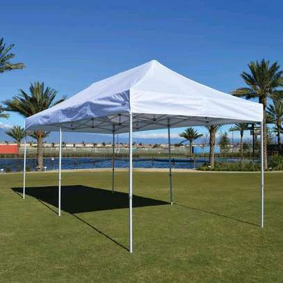 Foldable Canopy Tent image 1