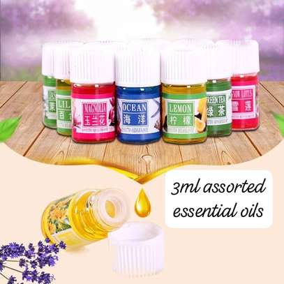 12pcs Water Soluble Essential Oils For Humidifier 3ml image 2