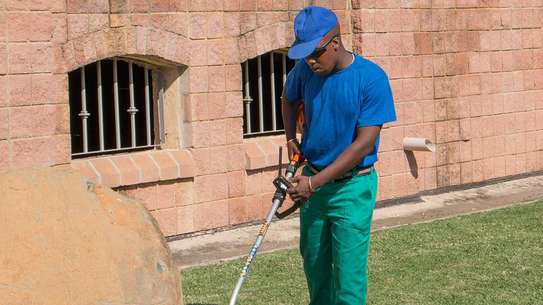 Home Gardening Services Nairobi,Kitengela, Kiambu, Syokimau,Kiserian,Thindigua, Kiambu, Machakos, Kajiado,Nairobi,Syokimau,Kitengela, Thindigua,Ruaka,Juja,Ngong,Thika,Limuru,Tigoni,Kajiado, Kiambu, Machakos,Murang'a ,Rongai,Ruaka,Upper Hill,Westland,Athi River,Ngong,Kitengela, Rongai,Ruai,Ruiru,Juja,Ngong,Kikuyu,Thika ,Lower Kabete,Juja,Rongai,Uthiru,Ruiru, Ruai,Kitengela,Ruiru,Thika, Ongata Rongai, Ngong,Kamulu , Joska ,Malaa,Kitengela,Ngong,Limuru,Thika,Athi River, Kiambu,Kitengela, Thindigua,Ruaka,Juja,Ngong,Thika,Lower,Kitengela, Thindigua, Ruaka, Juja, Ngong, Thika, Lower Kabete, Rongai,Uthiru,Kabete,Rongai,Uthiru,Kiserian. image 12