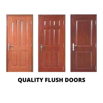Flush doors image 3