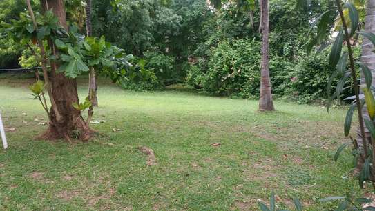 3br house with 2 SQ on 3/4 acre plot for rent near City Mall. Hr-2510 image 2