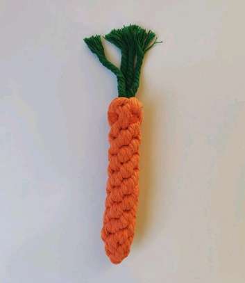 Carrot Chew Toy image 1