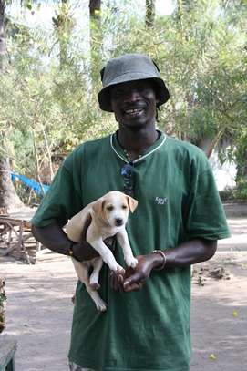 Best Dog Trainers in Kenya in 2022 image 2