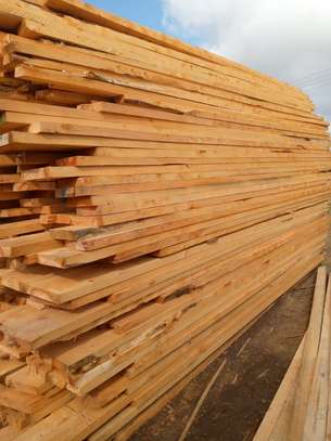 Cyprus timber image 1