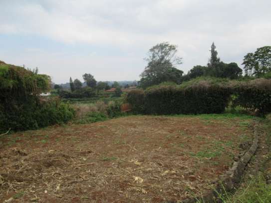 3 Acres Developed Farm For Sale in Red Hill - Limuru image 5