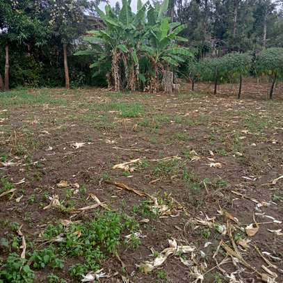 40*80ft plots for sale at Makuyu near Makuyu Teachers c image 2