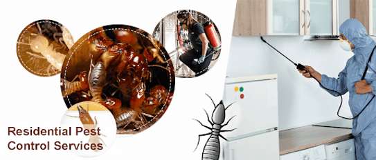 Cockroaches/ Pests/ Bed Bugs/ Fleas/ Ticks/ Mites Fumigation image 10