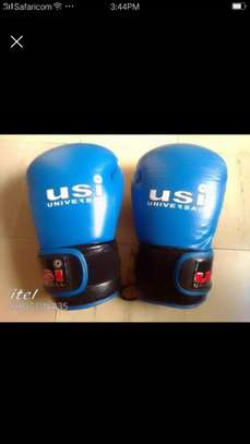 USI punching gloves quick sale image 1