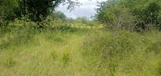 100 Acres Available for Sale in Mutomo Kitui County image 4
