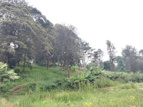 Residential Land at Kitisuru Ridge 44 image 20