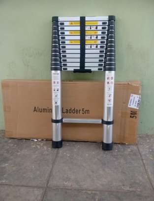 SINGLE&DOUBLE TELESCOPIC LADDERS FOR SALE image 4